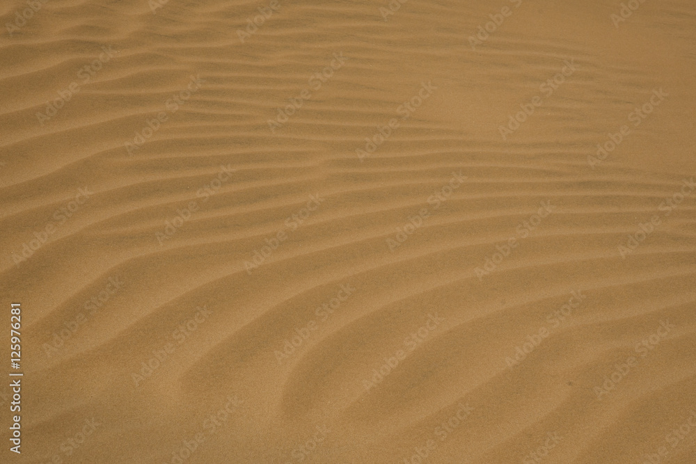 Sand Background Beach Desert Shape structure Sand Background Beach Desert Shape structure