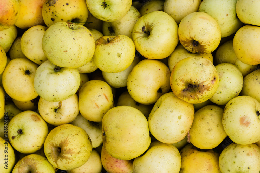 bunch of yellow apples background texture bunch of yellow apples background texture