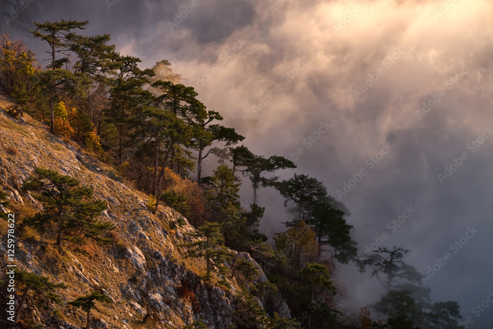 Warm morning sun lights up the trees in autumn colors on the mountain slope, and the low clouds that hide the forest in the valley, creating a mystical atmosphere, Ai Petry, Crimea Warm morning sun lights up the trees in autumn colors on the mountain slope, and the low clouds that hide the forest in the valley, creating a mystical atmosphere, Ai Petry, Crimea