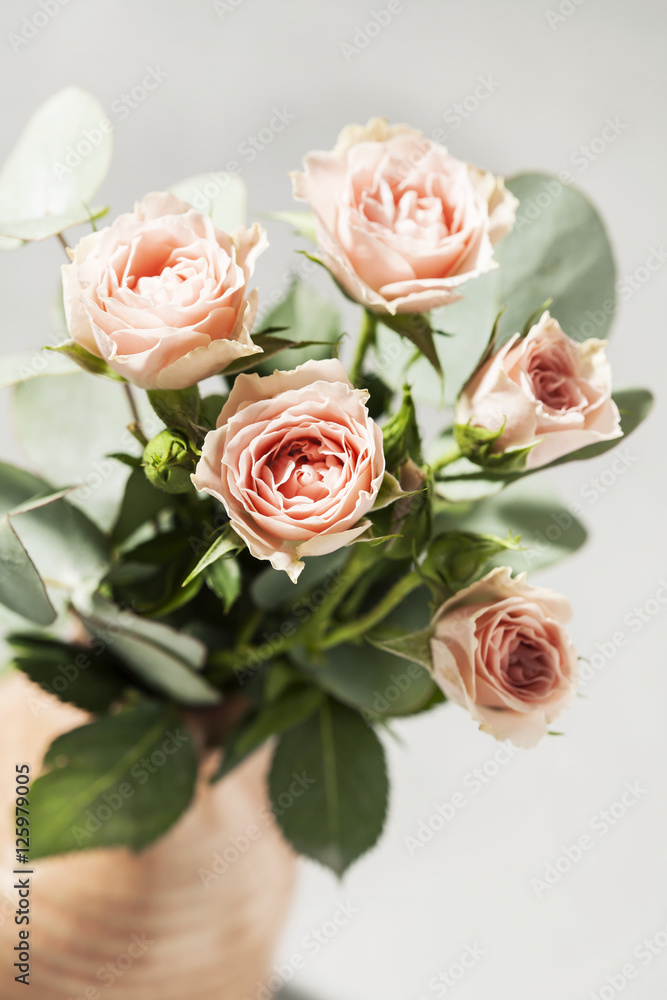 Pink roses Pink roses