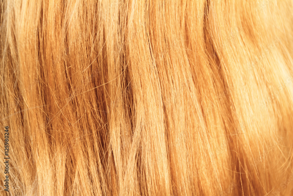 Blonde hair Blonde hair