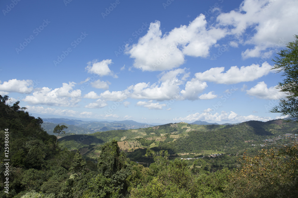 view of mountains and forest in the north of Thailand