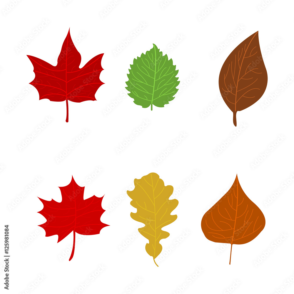 Simple cartoon flat style sign. Color autumn leaves on white background. Vector illustration. Simple cartoon flat style sign. Color autumn leaves on white background. Vector illustration.