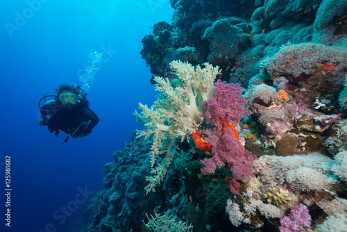 Woman diver explores the soft corals on the Fury Shoals reef, Re