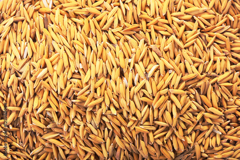 Food background. Pile of unmilled rice grain. Can use as abstract background. top view