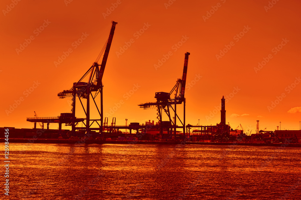terminal cranes silhouette and forklifts in Genova port at evening