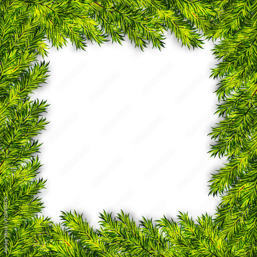Christmas tree branches frame vector background