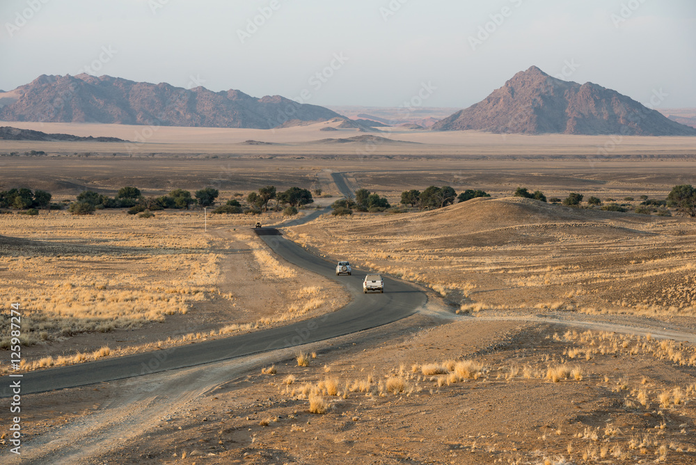 Modern asphalt road with cars is bending across Namibian fields