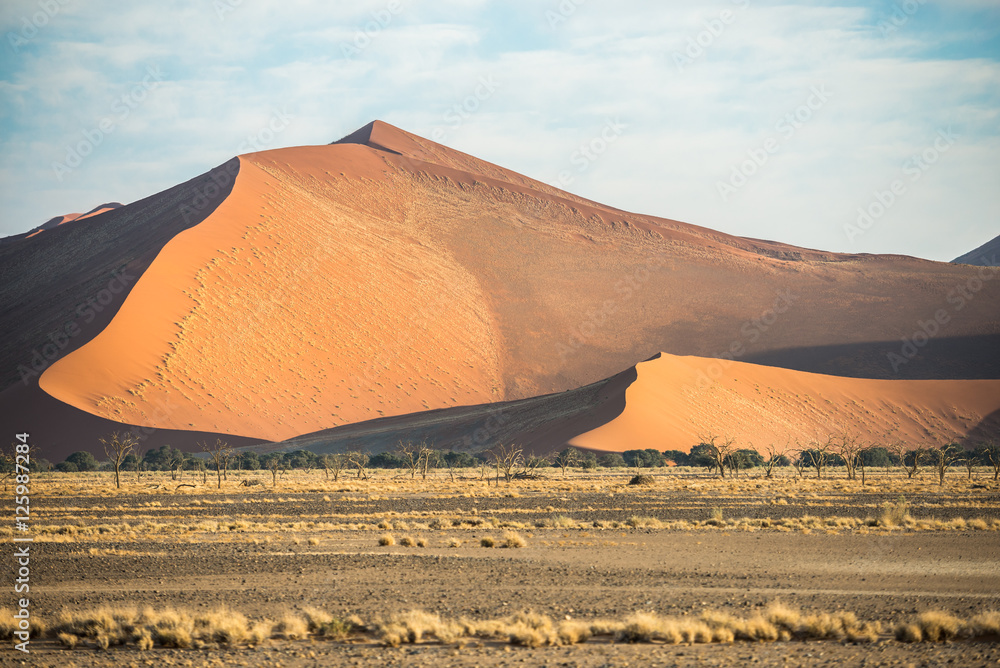 A huge sand dune, covered by rare dry Namibian vegetation