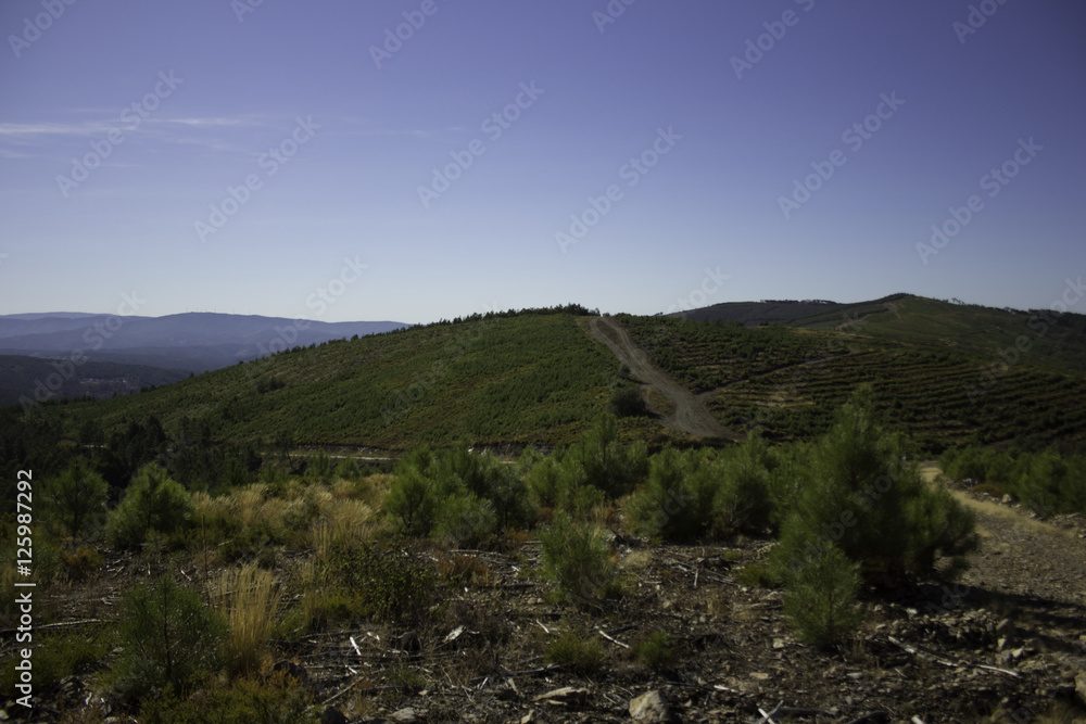 Naklejka premium Horizonte