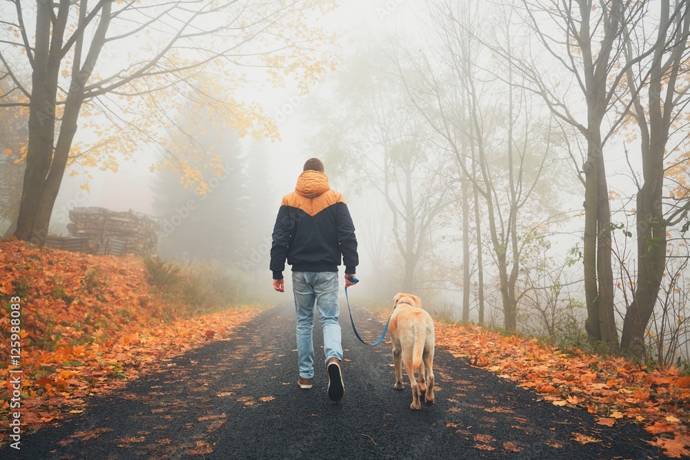 Fototapeta premium Man with dog in autumn nature