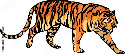 Vector illustration of Malaysia Tiger Stock Vector | Adobe Stock