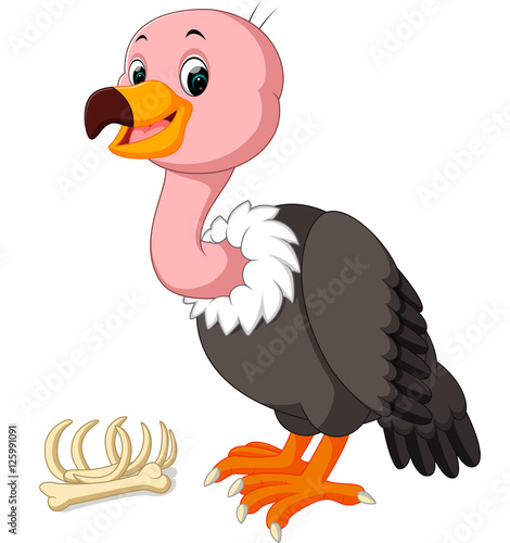 cute Vulture cartoon