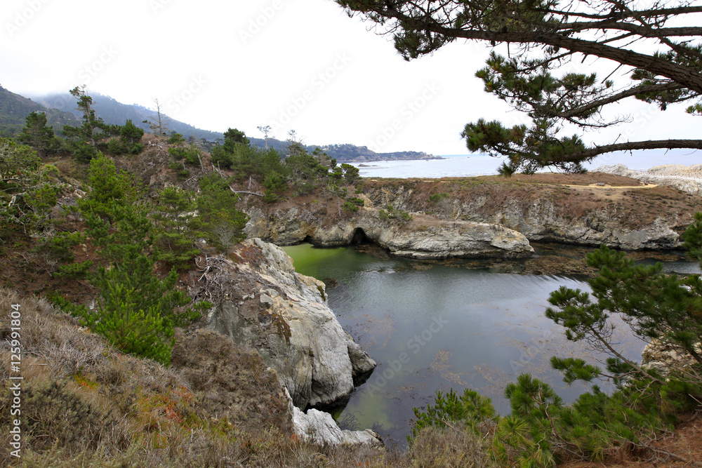  Plage de Point Lobos
