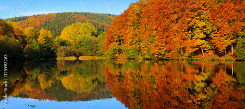 Autumnal trees reflection in the lake water. © Swetlana Wall
