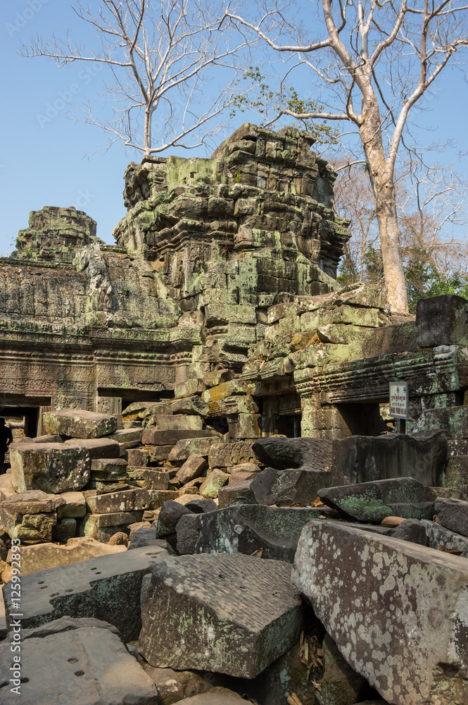 Ta Prohm temple