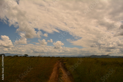 Weg in Tansania