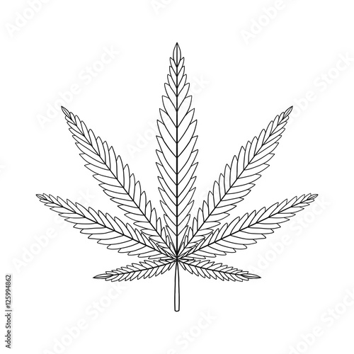 Decorative Cannabis leaf isolated on white background. Marijuana © Elen  Lane