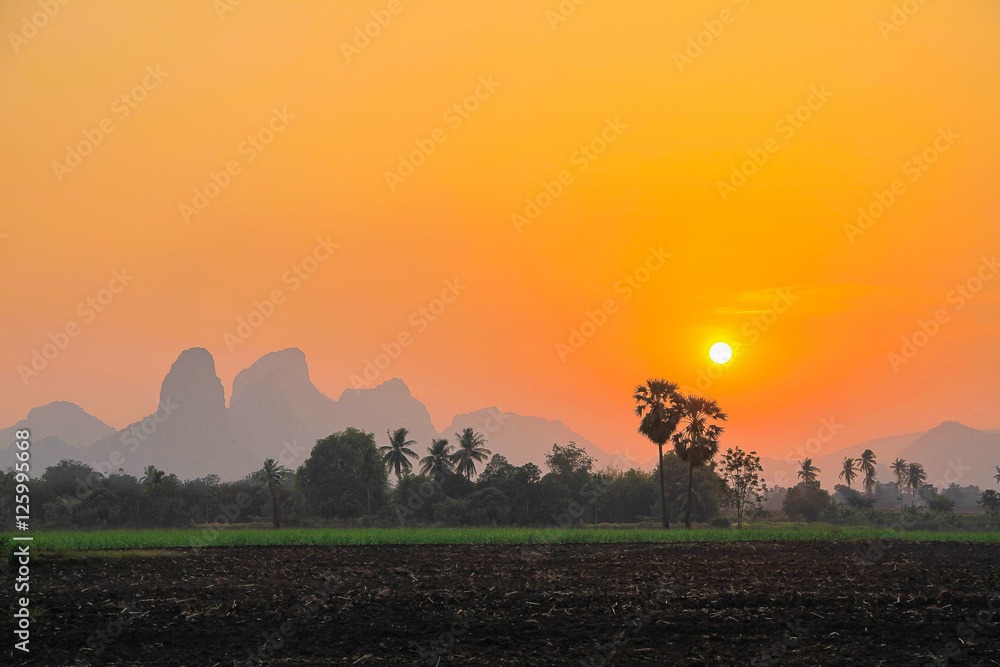 Sun set sky with green rice in thailand Sun set sky with green rice in thailand