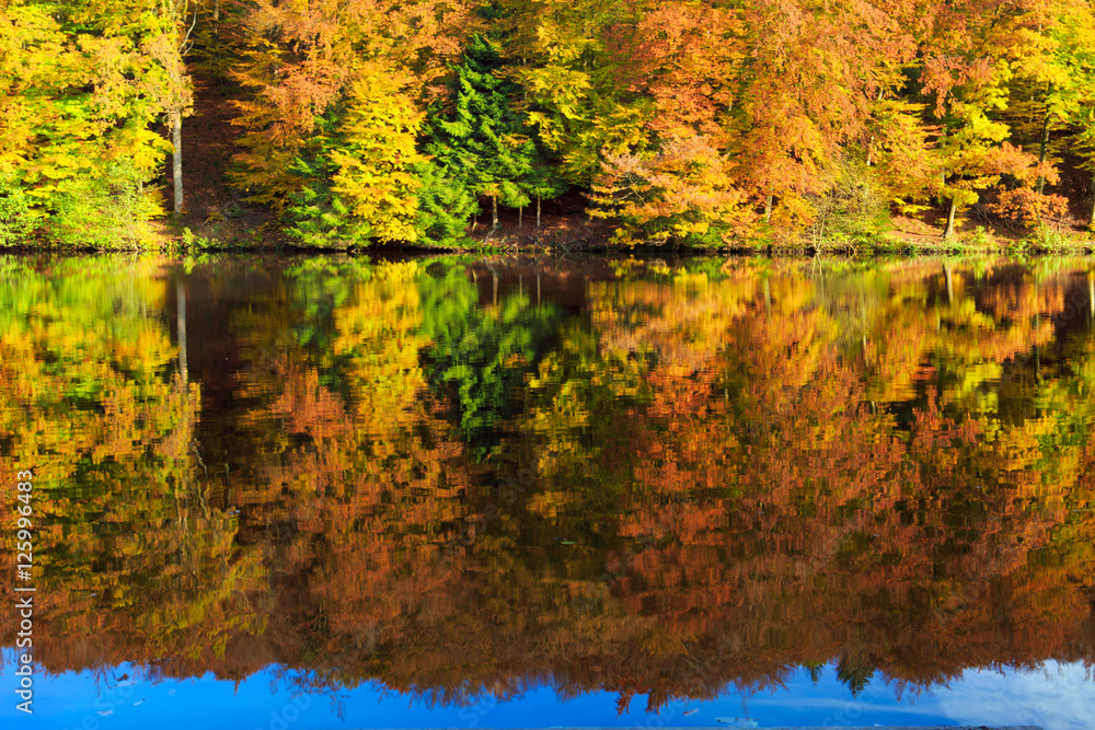 Autumnal trees reflection in the lake water.