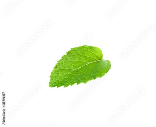 Tableau sur toile mint leaf isolated on the white background