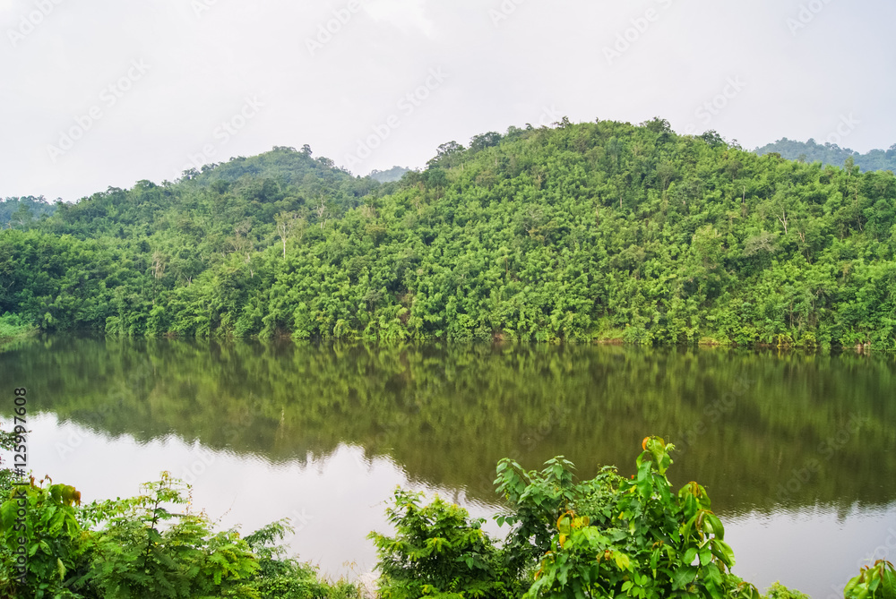 Mountain forest nature Suanphung Ratchaburi Thailand