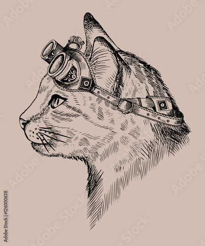 portrait steampunk cat with retro glasses, in etching style, isolated