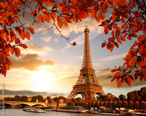 Leinwand Poster Eiffel Tower with autumn leaves in Paris, France