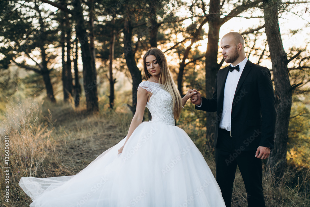 Stylish bride and bearded muscular groom posing on the wedding