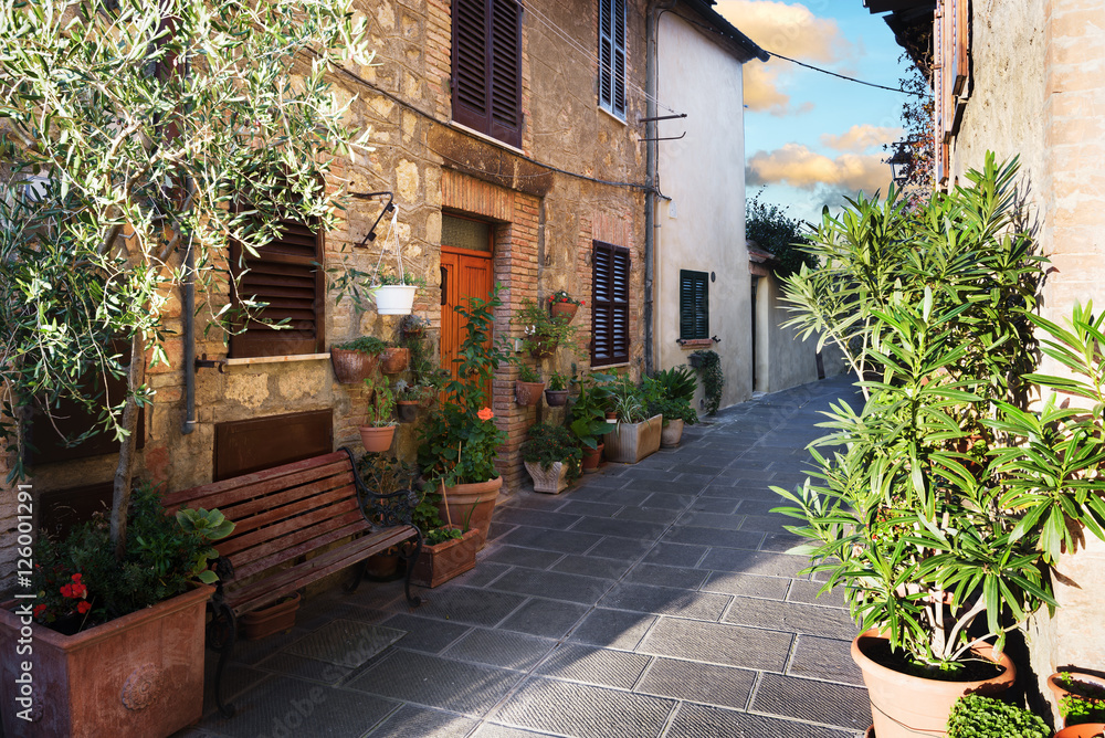 Obraz premium Old alley in a beautiful medieval town, Sarteano in Tuscany, Ita