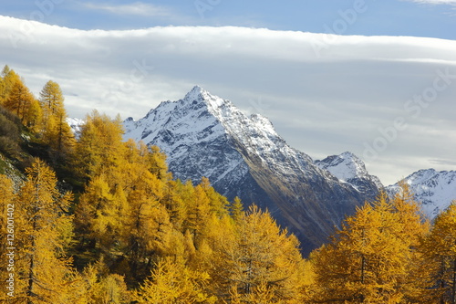 Goldener Oktober am Berninapass