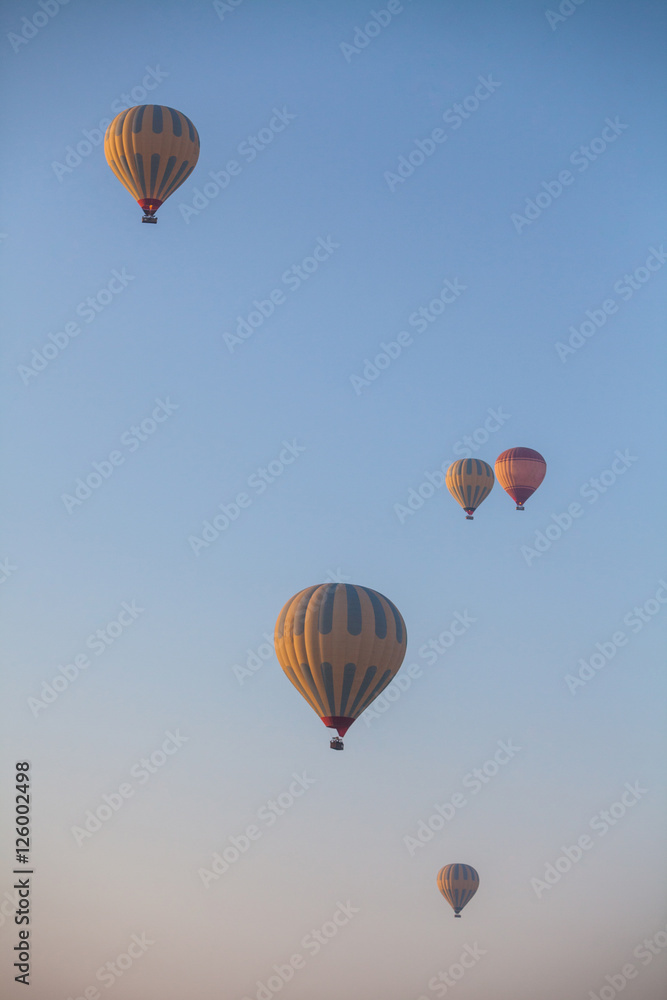 Fototapeta premium Hot air balloons in Cappadocia