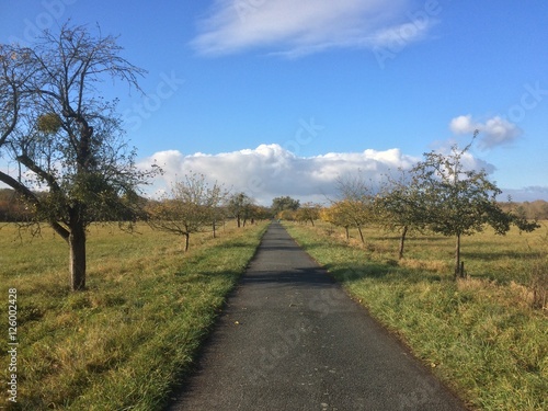 Herbstliche Wege