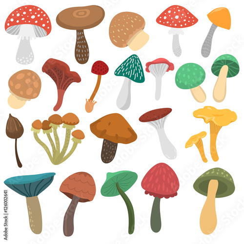 Mushrooms vector illustration set