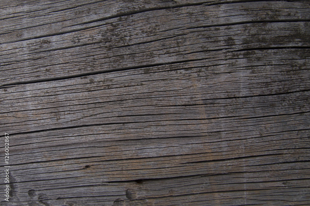 Fototapeta premium grey wood texture