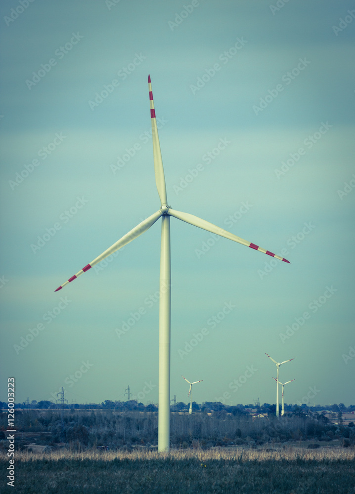 Windmills for electric power production on the field. Windmills for electric power production on the field.