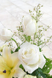 white roses close-up, soft focus