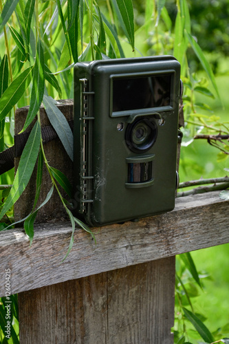 Camera trap with infrared light and motion detector attached with straps on a wooden fence