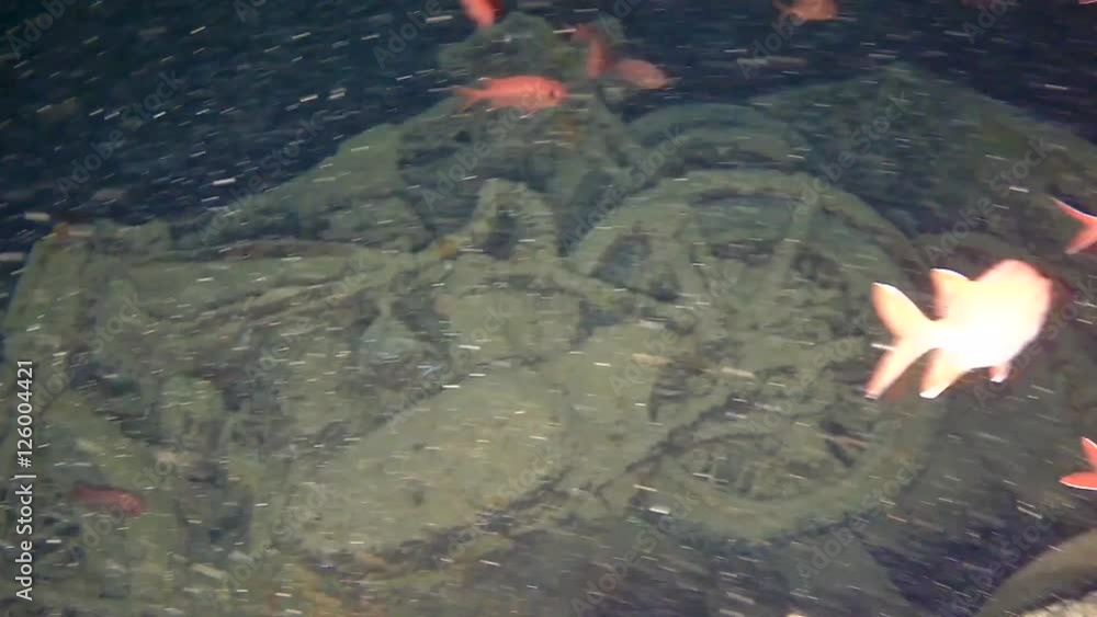 Norton and BSA Decaying motorcycles in the back of Bedford Trucks in