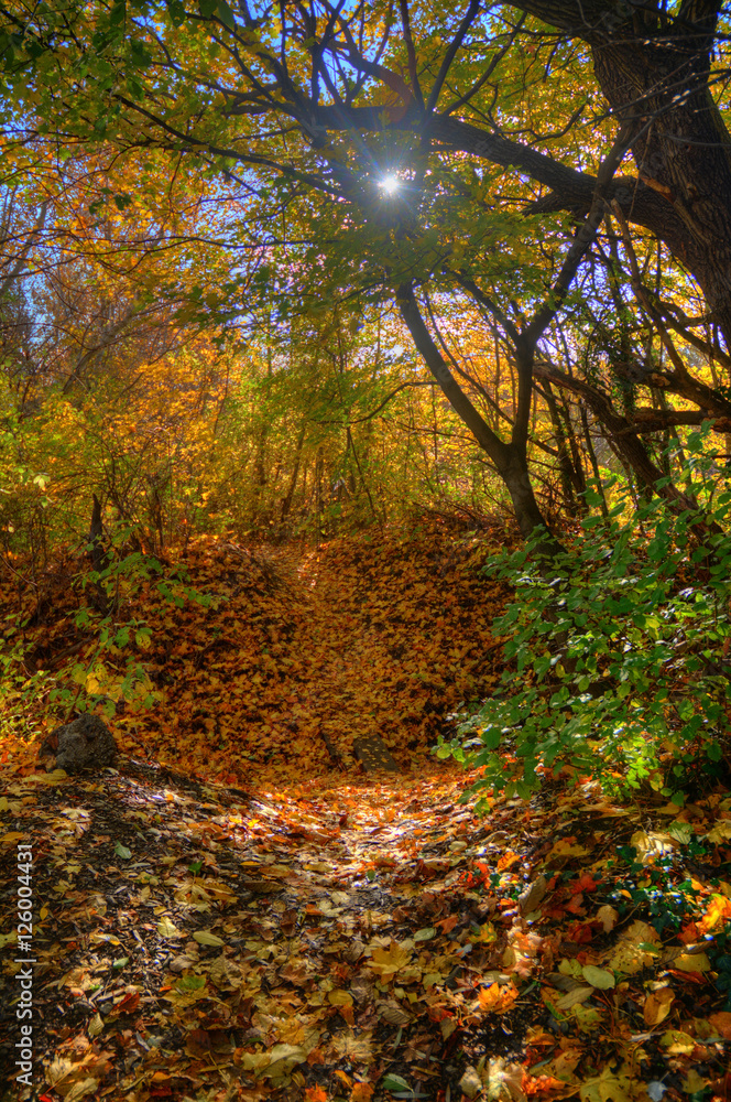 Fototapeta premium Herbstlandschaft