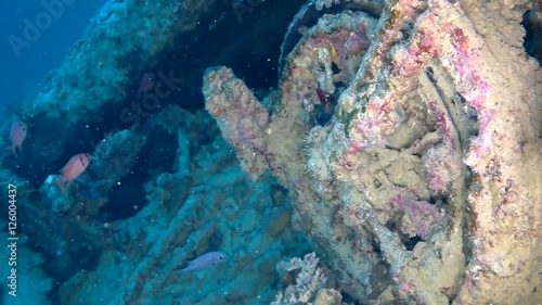 Motorcycles and Bedford Trucks have been pillaged for souvenirs in Hold No2 of the SS Thistlegorm Ship Wreck in the Red Sea