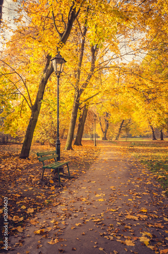 Colorful park alley with green bench in the autumn park in Krakow, Poland