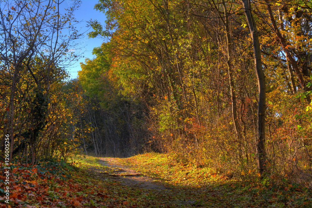 Herbstlandschaft