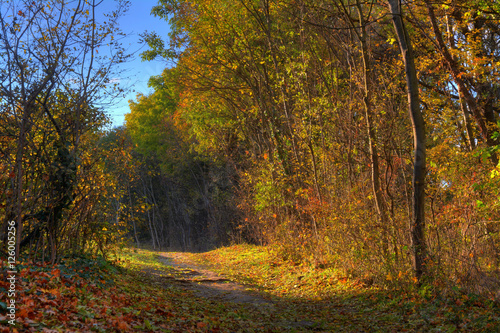 Herbstlandschaft © Thomas Wiltschi