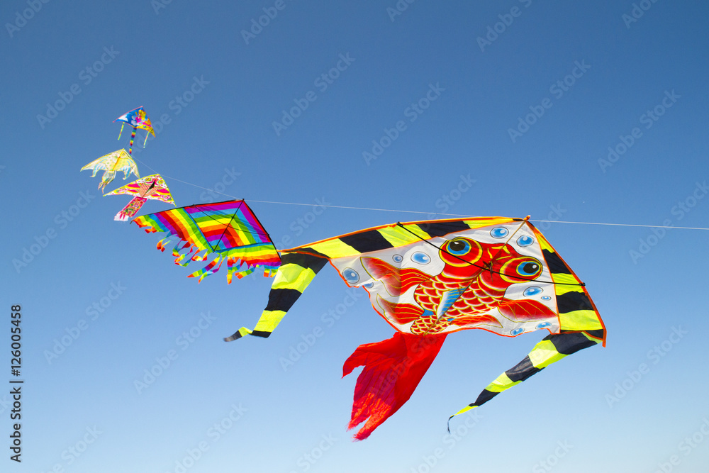 Foto Stock aquilone in volo nel cielo blu Adobe Stock