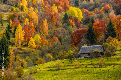 woodshed behind the fence on the hillside cowered with foliage near forest in autumn mountains