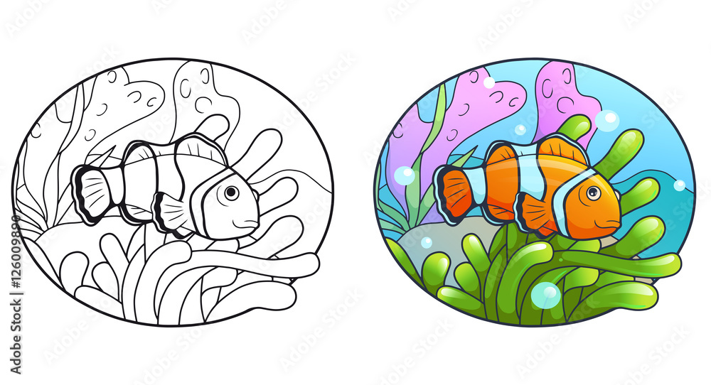 clown fish
clown fish