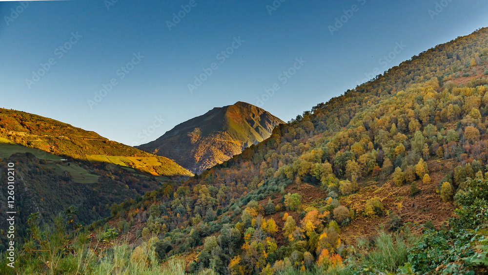 Autumn scenery in the mountains of Leitariegos, Asturias, Spain
