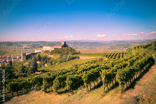 view of Soave (Italy) and its famous medieval castle