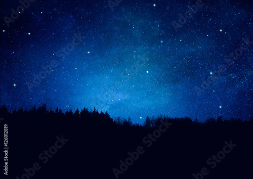 Nachthimmel mit Sternen und Wald-Silhouette - Textur
